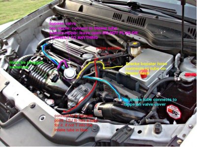hose routing.jpg hose routing.jpg
