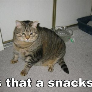 snacks