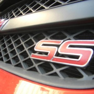 Close up SS badge