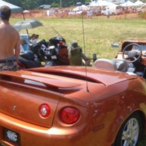 Picture 24