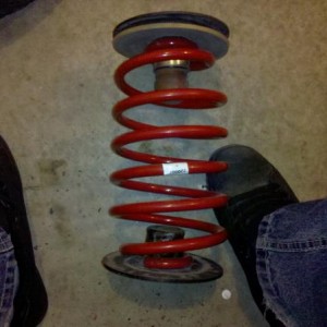 Pedders rear spring