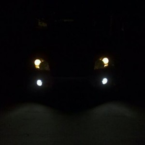 new fog light bulbs