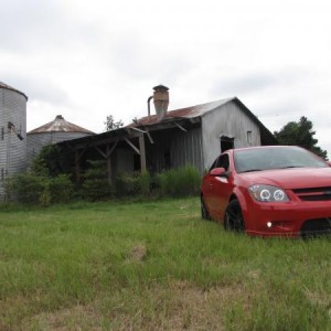 IMG 0824