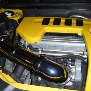 Homeade intake and underhood paint