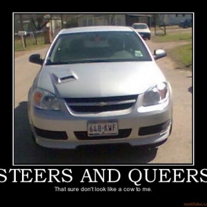 Steers and queers