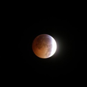 During the Partial Eclipse Begins: 01:32:37 EST
Picture taken at 2:29am