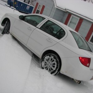 IMG 4529