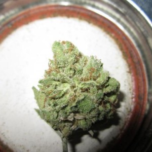 critical mass