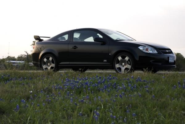 Bluebonnets on I-10