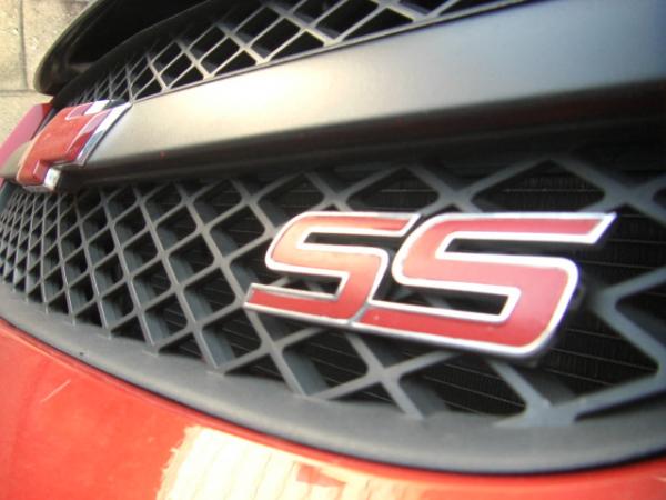 Close up SS badge