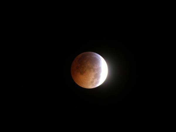 During the Partial Eclipse Begins: 01:32:37 EST
Picture taken at 2:29am