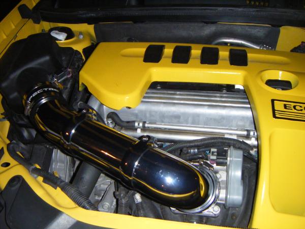 Homeade intake and underhood paint