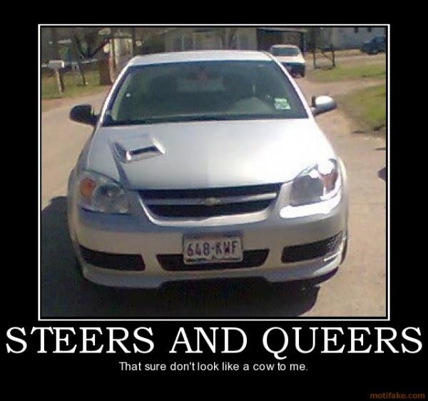 Steers and queers