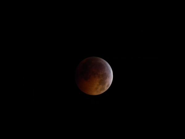 Total Eclipse Begins: 02:40:47 EST
Picture taken at 2:41am