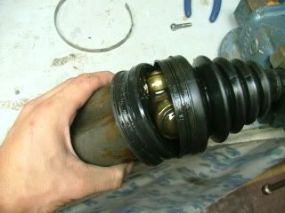 DSCF0278.jpg