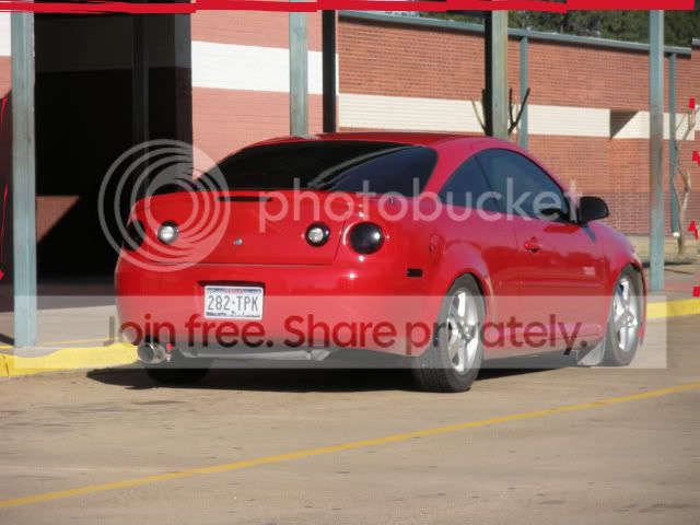 wingless2.jpg