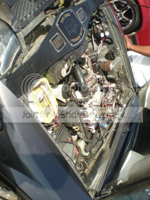 DSCN0919.jpg