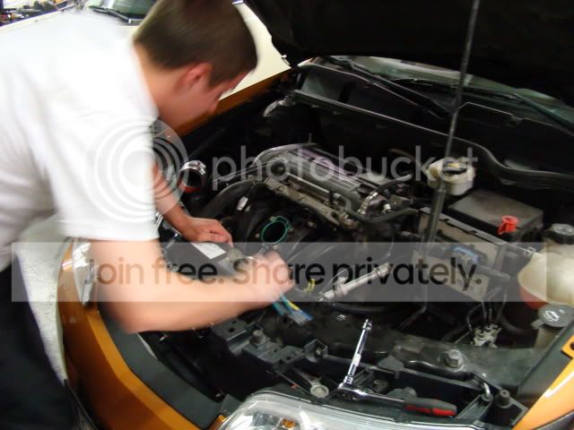 DSC08436.jpg