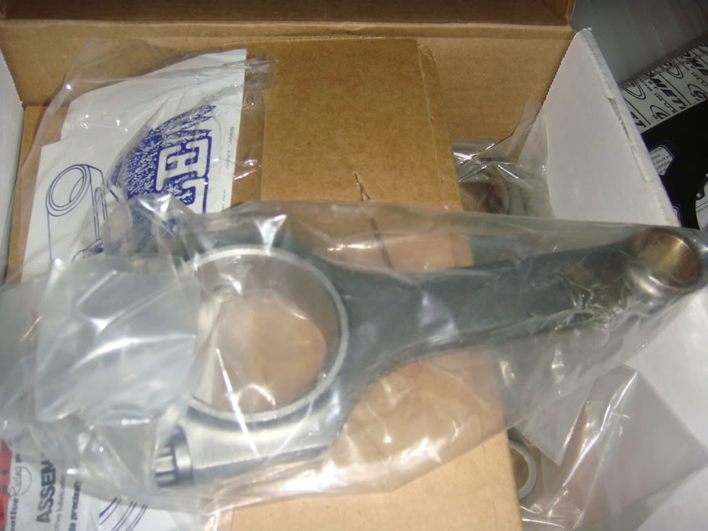 DSC00872.jpg