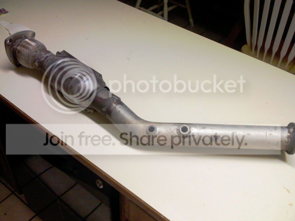 IMAG0084.jpg