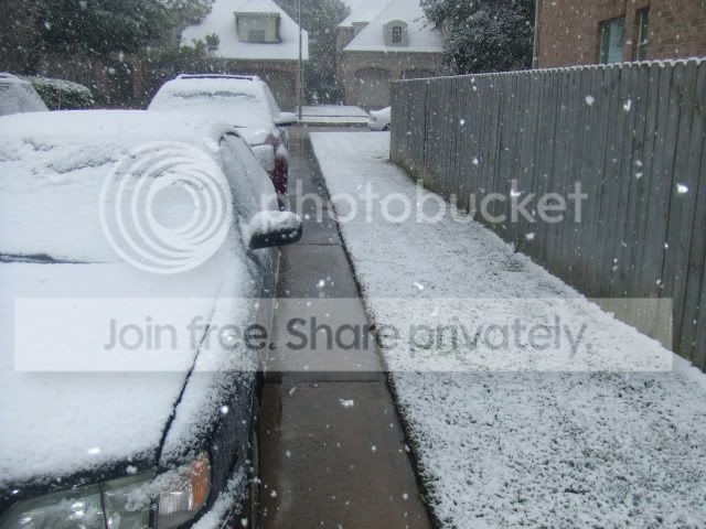 SNOW001.jpg