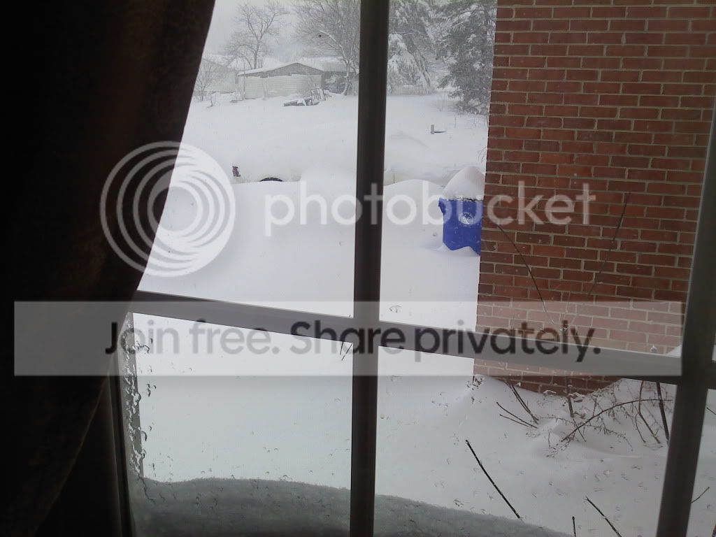 snow018-1.jpg