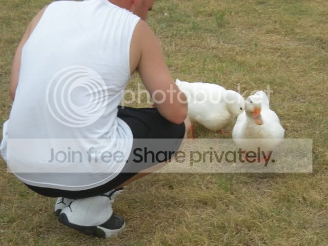 DSCN0519.jpg
