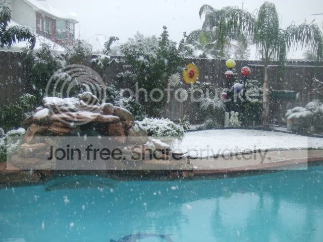 SNOW014.jpg