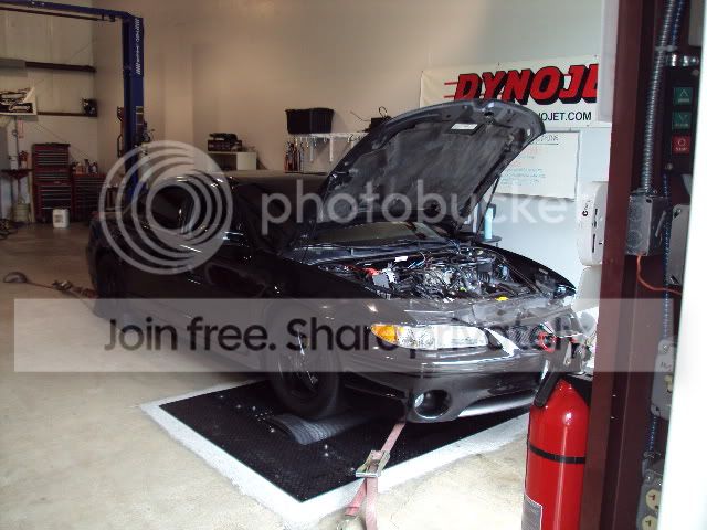 DSC01754.jpg