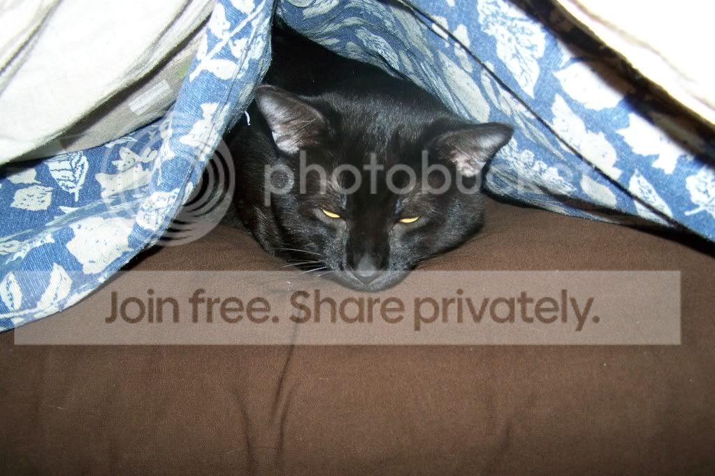 undercover003.jpg
