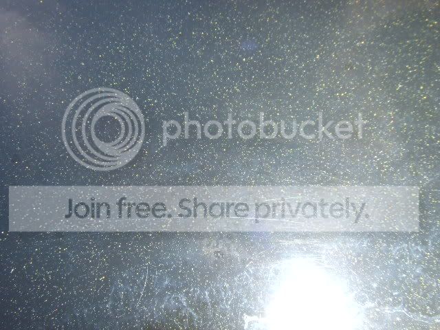 DSCF2695.jpg