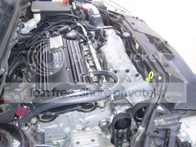 car006.jpg