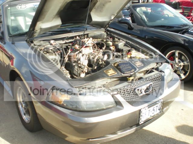 DSCN0910.jpg