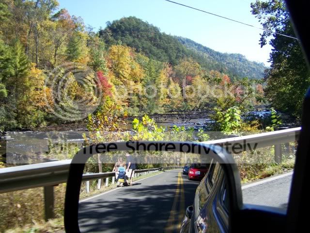 100_0296.jpg