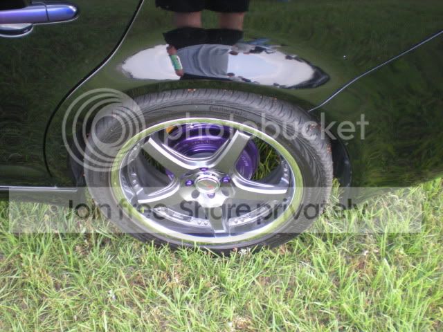 DSCN1131.jpg