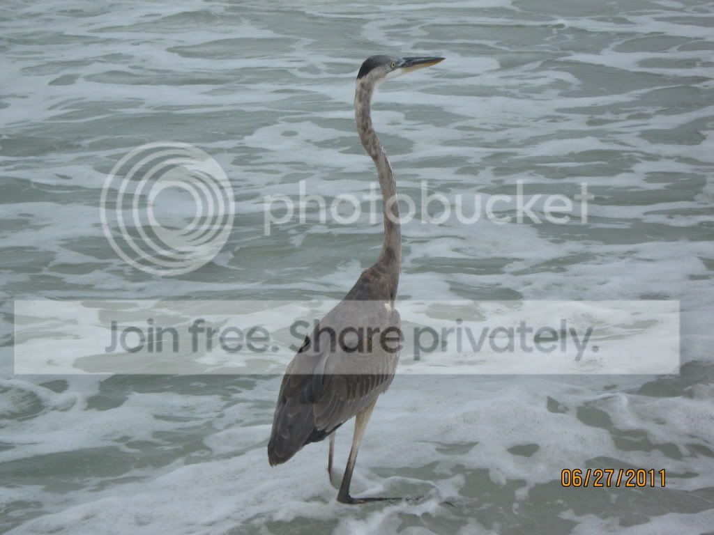 Florida017-1.jpg