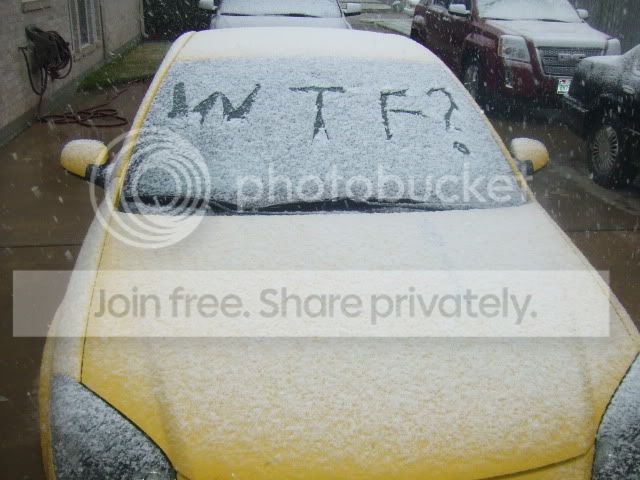 wtfsnow012.jpg