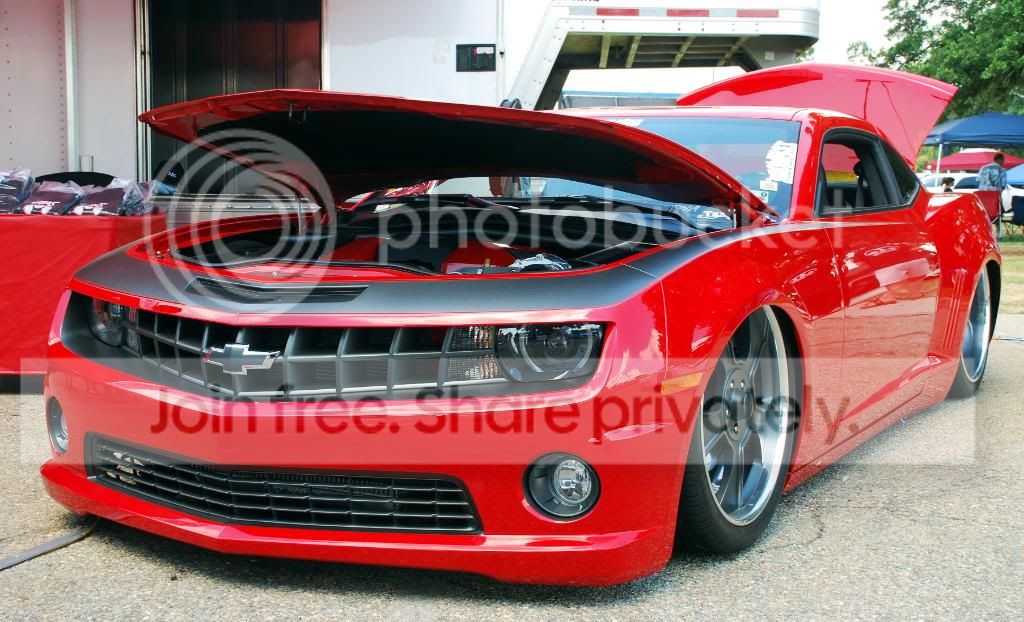 editscrapin20.jpg
