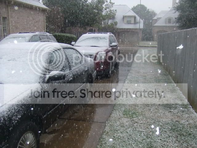 wtfsnow009.jpg