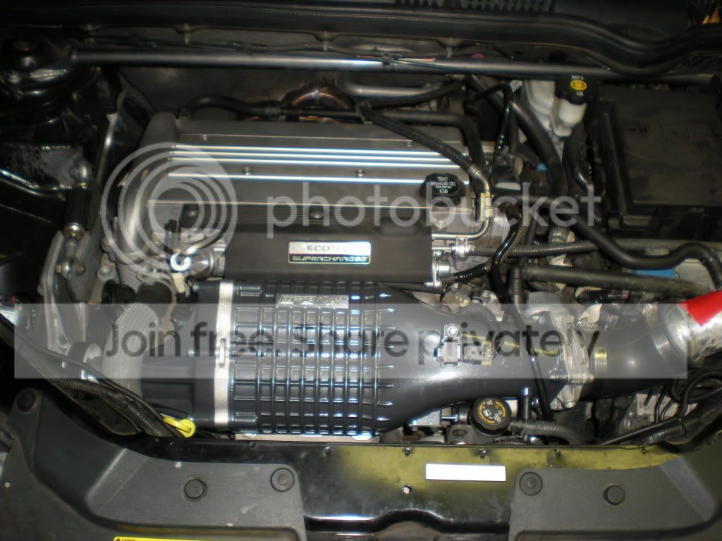 DSCN2264.jpg