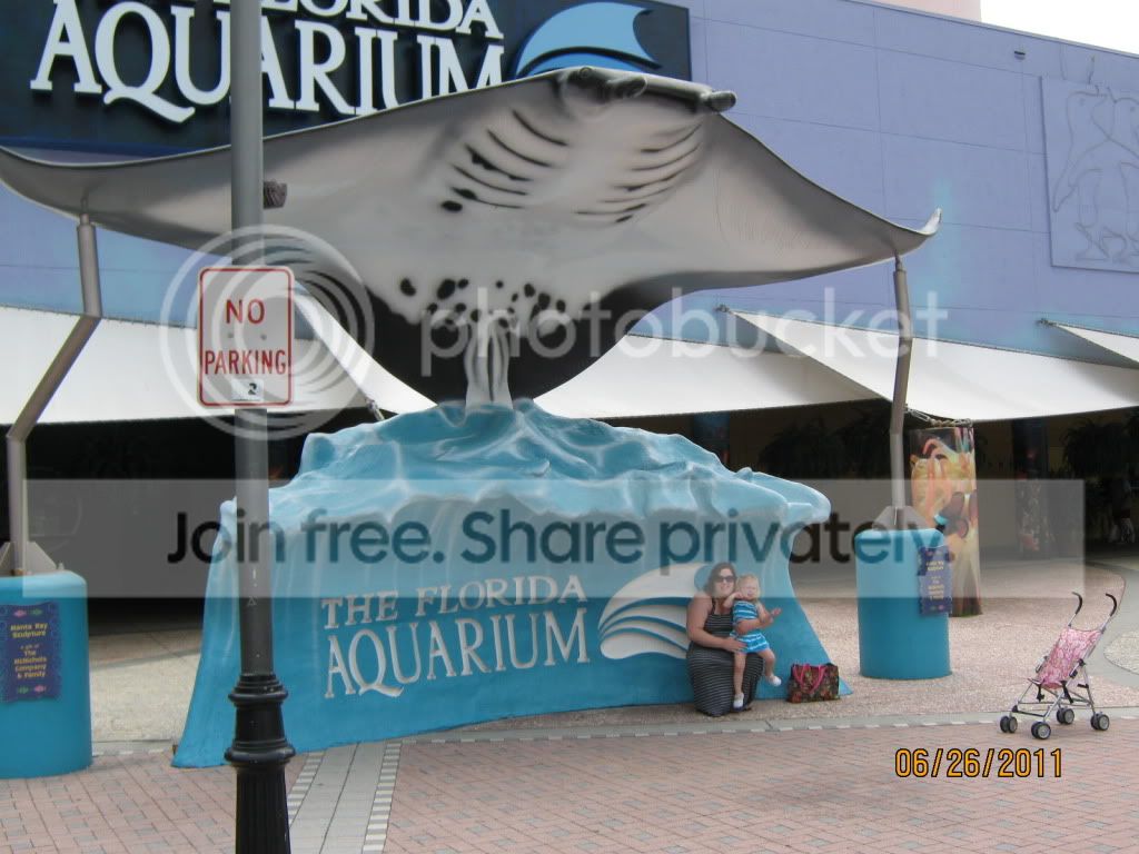 florida042.jpg