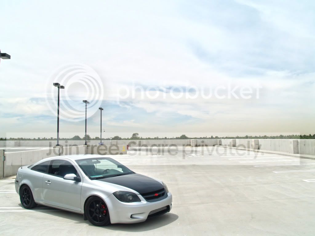 Myshoot008.jpg