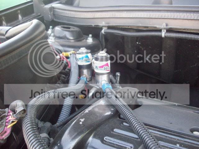 Picture001.jpg