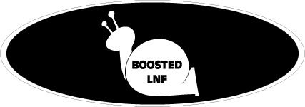 boostlnfblack.jpg