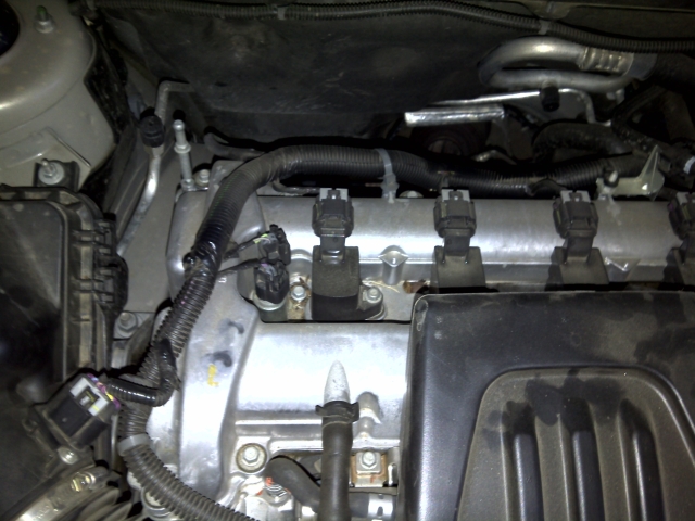 IMG-20100913-00009.jpg