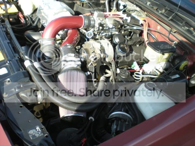 DSCN0929.jpg