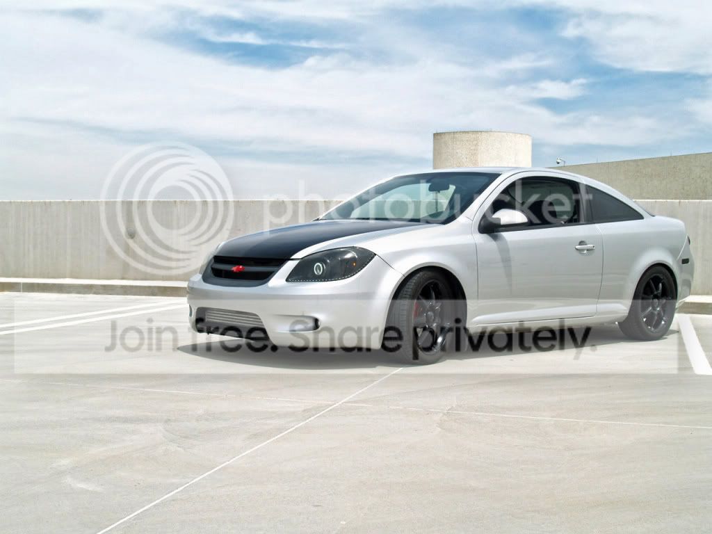 Myshoot013-1.jpg