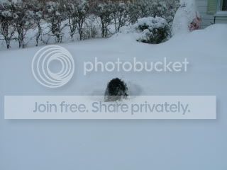tempete002.jpg