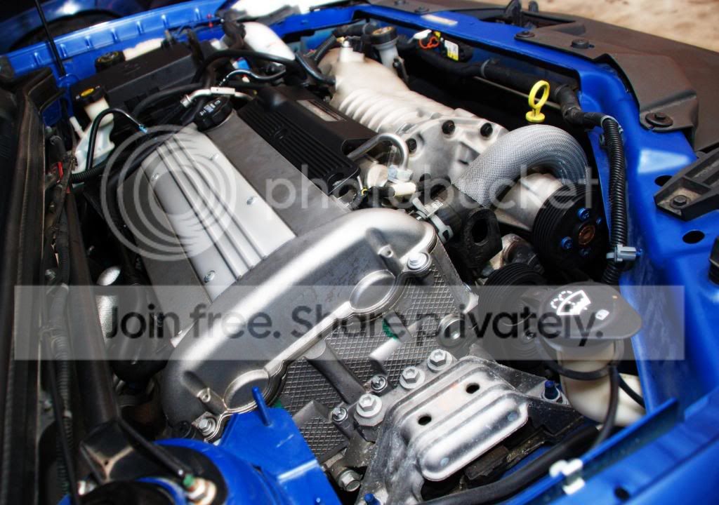 cobaltunderhoodshots017edit.jpg