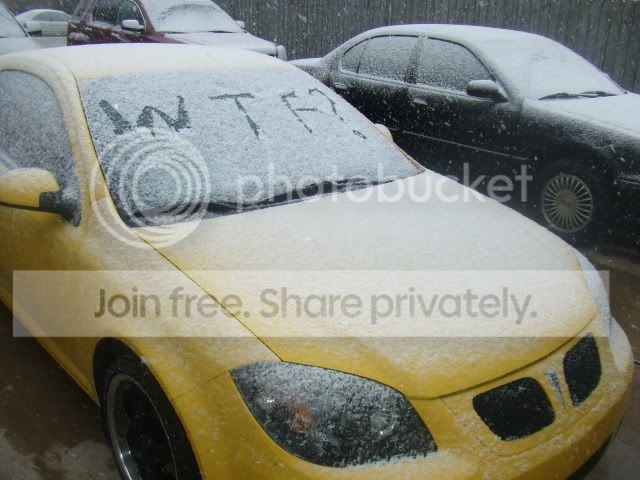 wtfsnow013.jpg